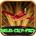 2019 world cup Cash Mega