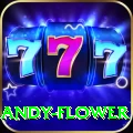 andy flower Plus Edition v1.4.3