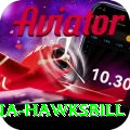 antigua hawksbill Premium v2.8.8