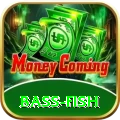 bass fish Premium v4.2.6