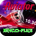 bingo VIP v4.4.5