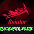 bingopkr VIP Edition v1.9.9