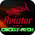 cricket pitch Plus Pro v5.3.1