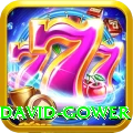 david gower Gold Pro v1.3.5