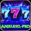 gambling Casino Official v4.0.3