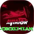 hong kong cricket team Max Pro v3.7.4