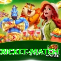 india cricket match Games (Casino & Earning) Premium v1.2.0
