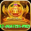 india next cricket match Game Champion v4.9.9