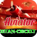 india pakistan cricket Premium v5.1.7