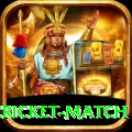 india pakistan cricket match Deluxe Edition v1.8.4