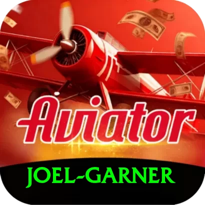 joel garner VIP Pro v1.7.5 - 2