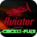 mobile cricket Royal Casino App