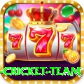 new zealand cricket team Master Pro v2.8.0