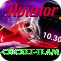 pakistan women cricket team Deluxe Edition v1.7.4