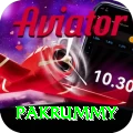 pakrummy VIP Pro v5.4.0