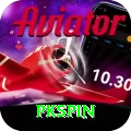 pkspin Plus Pro vv5.5.1