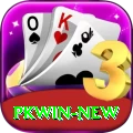 pkwin Apps (Tools & Injectors) Elite vv4.6.0
