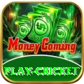 play cricket Apps (Tools & Injectors) Deluxe v5.2.8
