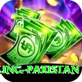 responsible gambling pakistan Games (Casino & Earning) VIP v1.3.6