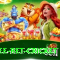 risk free bet cricket Plus Pro v2.8.1
