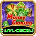 smartcric live cricket Premium Edition v1.1.5