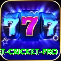 test cricket Slots Prime v1.7.0