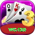 wc t20 Pro1 v5.5.5